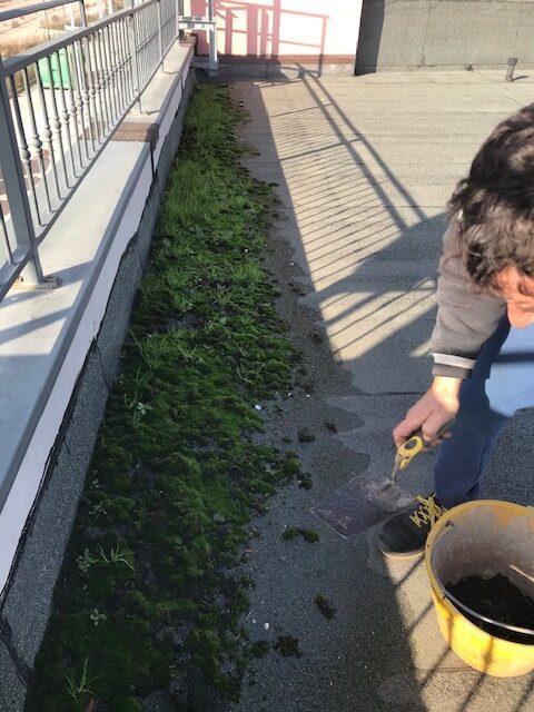 Operatore pulisce una copertura
